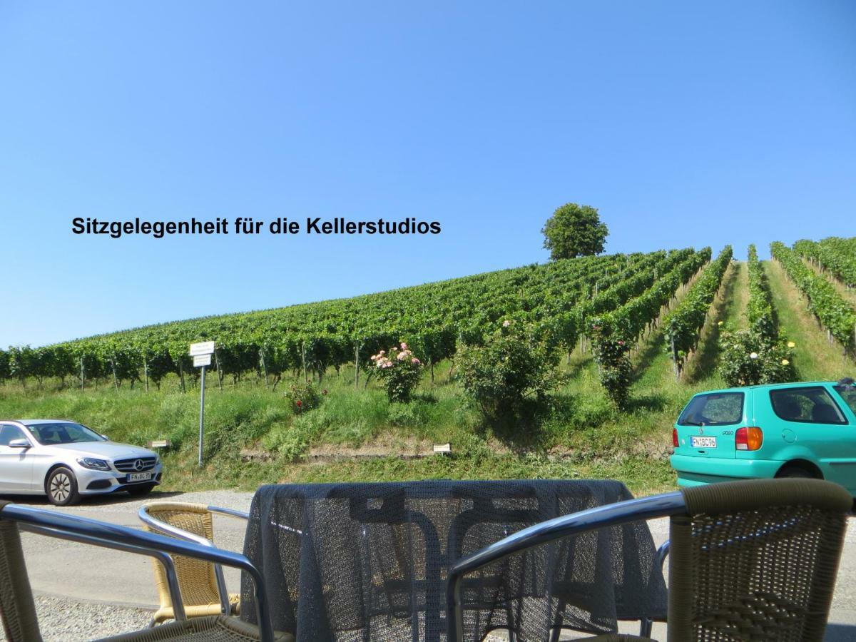 Gaestehaus Sommertal Mit Pool Im Garten, Eigener Parkplatz, 800M Zum Bodensee, 300M Zur Altstadt Meersburg Exterior foto